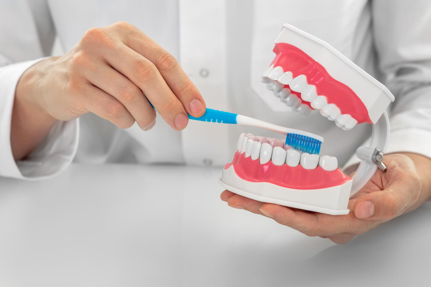 dentist-showing-right-way-brushing-teeth-on-anatom-2025-07-17-21-23-24-utc
