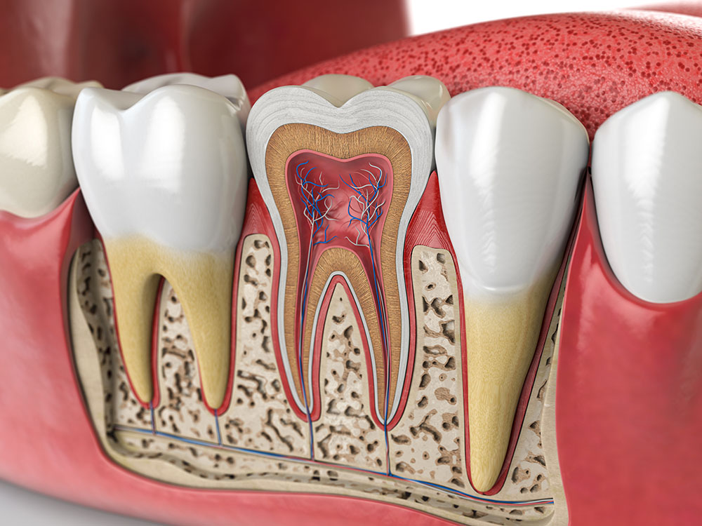 myDentalTX